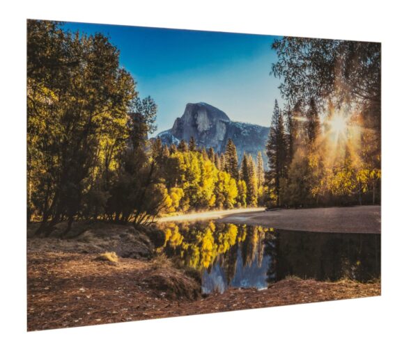 Tempered Glass Series "Morning in Paradise" Tempered Glass Wall Art