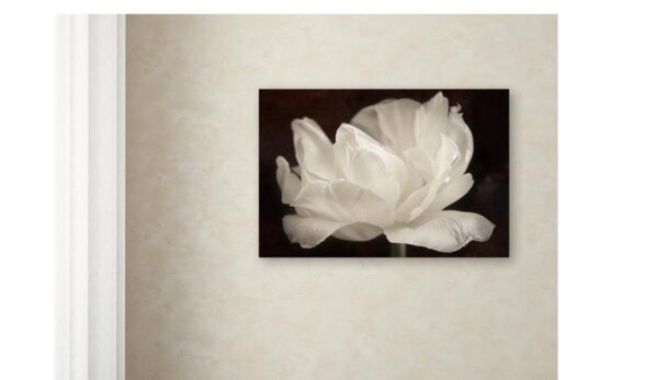 30 in. x 47 in. "White Tulip III" by Cora Niele Printed Canvas Wall Art