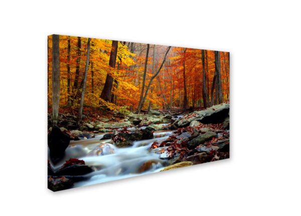22 in. x 32 in. Ultimate Truth by CATeyes Canvas Wall Art Print